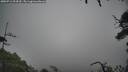 ./images/calvert/fitz-hugh-hecate/20250712/fitz-hugh-hecate20250712_094510M.jpg