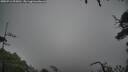 ./images/calvert/fitz-hugh-hecate/20250712/fitz-hugh-hecate20250712_095010M.jpg