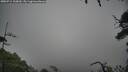./images/calvert/fitz-hugh-hecate/20250712/fitz-hugh-hecate20250712_100009M.jpg
