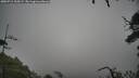 ./images/calvert/fitz-hugh-hecate/20250712/fitz-hugh-hecate20250712_100508M.jpg