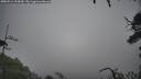 ./images/calvert/fitz-hugh-hecate/20250712/fitz-hugh-hecate20250712_103009M.jpg