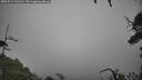 ./images/calvert/fitz-hugh-hecate/20250712/fitz-hugh-hecate20250712_111510M.jpg