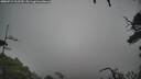 ./images/calvert/fitz-hugh-hecate/20250712/fitz-hugh-hecate20250712_112510M.jpg
