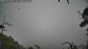 ./images/calvert/fitz-hugh-hecate/20250712/fitz-hugh-hecate20250712_113507M.jpg