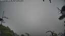 ./images/calvert/fitz-hugh-hecate/20250712/fitz-hugh-hecate20250712_114010M.jpg