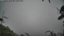 ./images/calvert/fitz-hugh-hecate/20250712/fitz-hugh-hecate20250712_114511M.jpg