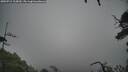 ./images/calvert/fitz-hugh-hecate/20250712/fitz-hugh-hecate20250712_115009M.jpg