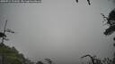 ./images/calvert/fitz-hugh-hecate/20250712/fitz-hugh-hecate20250712_121009M.jpg