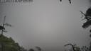 ./images/calvert/fitz-hugh-hecate/20250712/fitz-hugh-hecate20250712_132510M.jpg