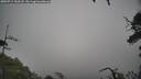 ./images/calvert/fitz-hugh-hecate/20250712/fitz-hugh-hecate20250712_133508M.jpg