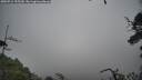 ./images/calvert/fitz-hugh-hecate/20250712/fitz-hugh-hecate20250712_155509M.jpg