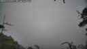 ./images/calvert/fitz-hugh-hecate/20250712/fitz-hugh-hecate20250712_160509M.jpg