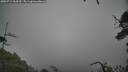 ./images/calvert/fitz-hugh-hecate/20250712/fitz-hugh-hecate20250712_164510M.jpg