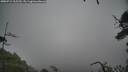 ./images/calvert/fitz-hugh-hecate/20250712/fitz-hugh-hecate20250712_165509M.jpg