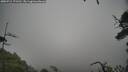 ./images/calvert/fitz-hugh-hecate/20250712/fitz-hugh-hecate20250712_171510M.jpg