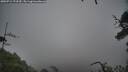 ./images/calvert/fitz-hugh-hecate/20250712/fitz-hugh-hecate20250712_173510M.jpg
