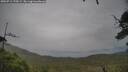 ./images/calvert/fitz-hugh-hecate/20250712/fitz-hugh-hecate20250712_175509M.jpg