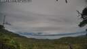 ./images/calvert/fitz-hugh-hecate/20250712/fitz-hugh-hecate20250712_181509M.jpg