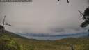 ./images/calvert/fitz-hugh-hecate/20250712/fitz-hugh-hecate20250712_182509M.jpg