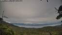 ./images/calvert/fitz-hugh-hecate/20250712/fitz-hugh-hecate20250712_184010M.jpg