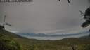 ./images/calvert/fitz-hugh-hecate/20250712/fitz-hugh-hecate20250712_184510M.jpg