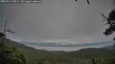 ./images/calvert/fitz-hugh-hecate/20250712/fitz-hugh-hecate20250712_190008M.jpg