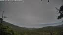 ./images/calvert/fitz-hugh-hecate/20250712/fitz-hugh-hecate20250712_191008M.jpg