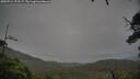 ./images/calvert/fitz-hugh-hecate/20250712/fitz-hugh-hecate20250712_191507M.jpg