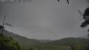 ./images/calvert/fitz-hugh-hecate/20250712/fitz-hugh-hecate20250712_194007M.jpg
