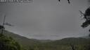 ./images/calvert/fitz-hugh-hecate/20250712/fitz-hugh-hecate20250712_194508M.jpg
