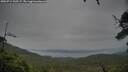 ./images/calvert/fitz-hugh-hecate/20250712/fitz-hugh-hecate20250712_200507M.jpg