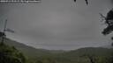 ./images/calvert/fitz-hugh-hecate/20250712/fitz-hugh-hecate20250712_201509M.jpg