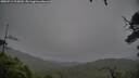 ./images/calvert/fitz-hugh-hecate/20250712/fitz-hugh-hecate20250712_202009M.jpg