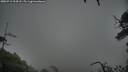 ./images/calvert/fitz-hugh-hecate/20250712/fitz-hugh-hecate20250712_204508M.jpg