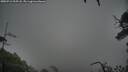 ./images/calvert/fitz-hugh-hecate/20250712/fitz-hugh-hecate20250712_205507M.jpg
