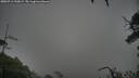 ./images/calvert/fitz-hugh-hecate/20250712/fitz-hugh-hecate20250712_210008M.jpg