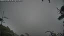 ./images/calvert/fitz-hugh-hecate/20250712/fitz-hugh-hecate20250712_210509M.jpg