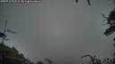 ./images/calvert/fitz-hugh-hecate/20250712/fitz-hugh-hecate20250712_211009M.jpg