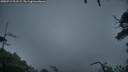 ./images/calvert/fitz-hugh-hecate/20250712/fitz-hugh-hecate20250712_211509M.jpg