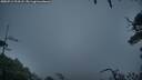 ./images/calvert/fitz-hugh-hecate/20250712/fitz-hugh-hecate20250712_213507M.jpg