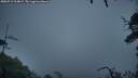 ./images/calvert/fitz-hugh-hecate/20250712/fitz-hugh-hecate20250712_214009M.jpg