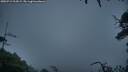./images/calvert/fitz-hugh-hecate/20250712/fitz-hugh-hecate20250712_214508M.jpg
