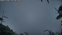./images/calvert/fitz-hugh-hecate/20250712/fitz-hugh-hecate20250712_215007M.jpg