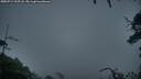 ./images/calvert/fitz-hugh-hecate/20250712/fitz-hugh-hecate20250712_215508M.jpg