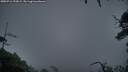 ./images/calvert/fitz-hugh-hecate/20250712/fitz-hugh-hecate20250712_220009M.jpg