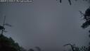 ./images/calvert/fitz-hugh-hecate/20250712/fitz-hugh-hecate20250712_220507M.jpg