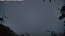 ./images/calvert/fitz-hugh-hecate/20250712/fitz-hugh-hecate20250712_221009M.jpg