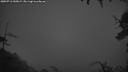 ./images/calvert/fitz-hugh-hecate/20250713/fitz-hugh-hecate20250713_045009M.jpg