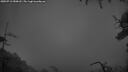./images/calvert/fitz-hugh-hecate/20250713/fitz-hugh-hecate20250713_050008M.jpg