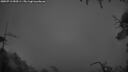 ./images/calvert/fitz-hugh-hecate/20250713/fitz-hugh-hecate20250713_050504M.jpg
